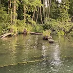 Am Mueritz-nationalpark Отель Варен