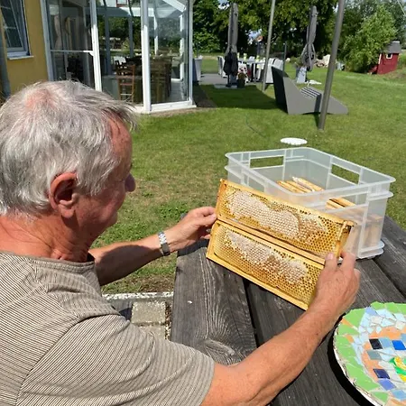 Hotel Am Mueritz-nationalpark