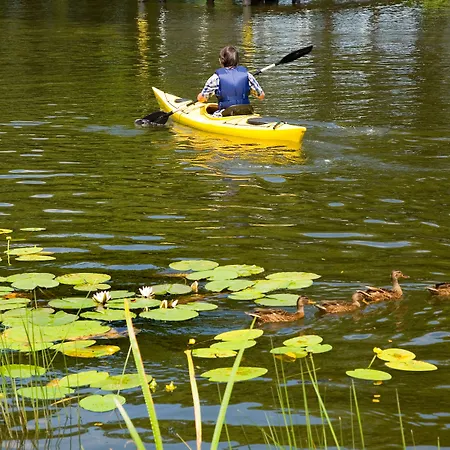 Am Müritz-nationalpark Waren (Müritz)