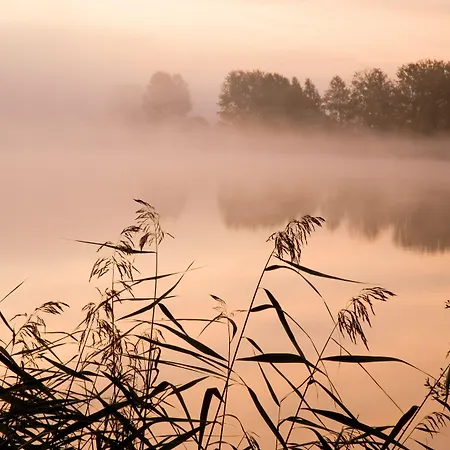 Am Mueritz-nationalpark Hotel Waren (Mueritz)