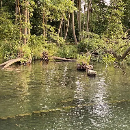 Am Mueritz-nationalpark Hotel Waren (Mueritz)