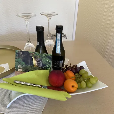 Am Mueritz-nationalpark Hotel 3*