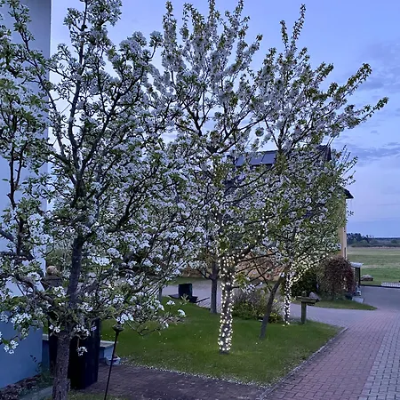 Am Müritz-nationalpark 3*