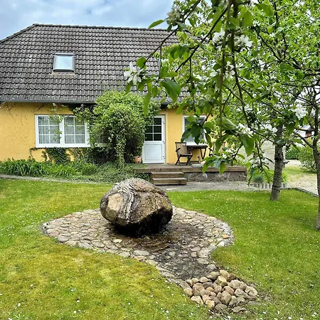 Am Mueritz-nationalpark