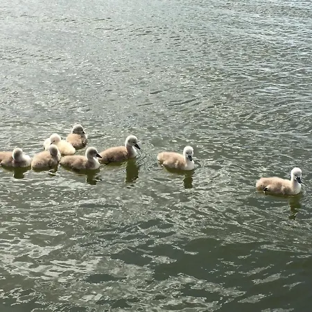 Am Mueritz-nationalpark Hotel