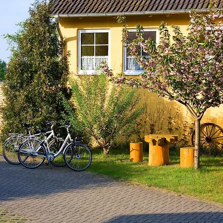 Am Müritz-nationalpark Hotel 3*