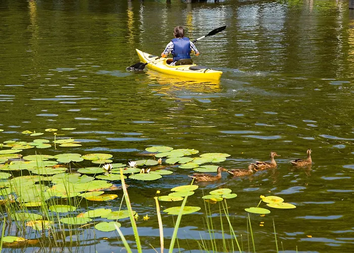 Am Mueritz-nationalpark Waren (Mueritz)