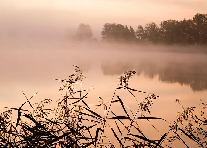 Am Mueritz-nationalpark Hotel Waren (Mueritz)